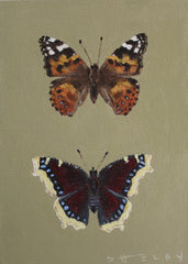 Painted Lady & Mourning Cloak