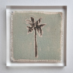 Original Hurricane Palm 10