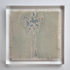 Original Hurricane Palm 14