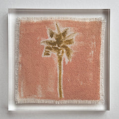 Original Hurricane Palm 16