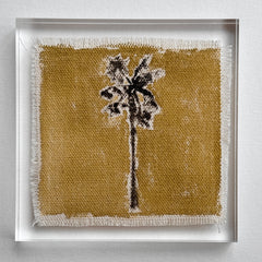 Original Hurricane Palm 1