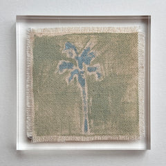 Original Hurricane Palm 21