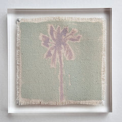 Original Hurricane Palm 4