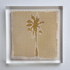 Original Hurricane Palm 5