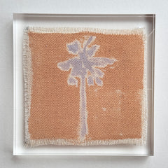 Original Hurricane Palm 6