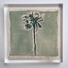 Original Hurricane Palm 8