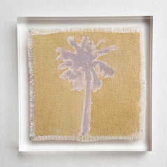 Original Hurricane Palm 9