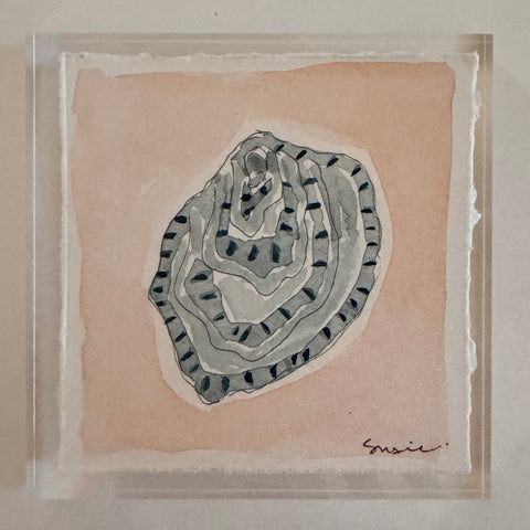 Original Seashell 28