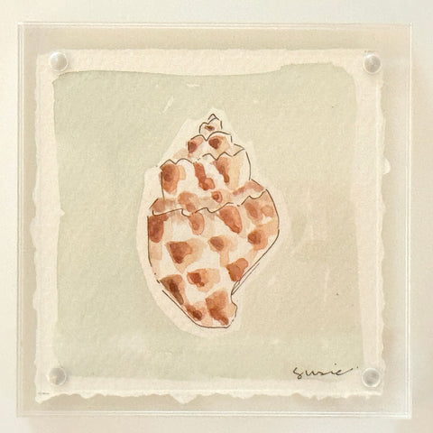 Original Susie Shell No. 22