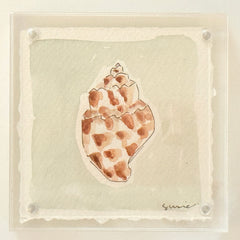 Original Susie Shell No. 22