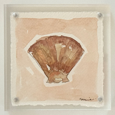 Original Susie Shell No. 23
