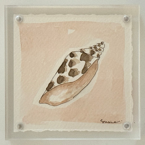 Original Susie Shell No. 6