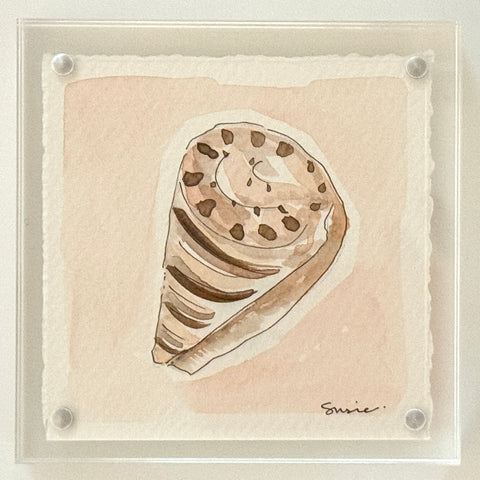 Original Susie Shell No. 7