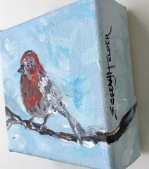 House Finch In The Clouds