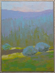 Appalachian Rainscape