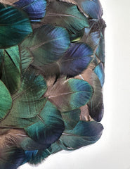 Luminous Feather Field