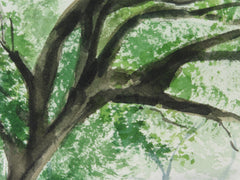 Linville Viaduct in Fog