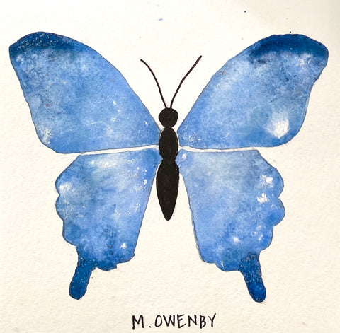 Butterfly No. 14