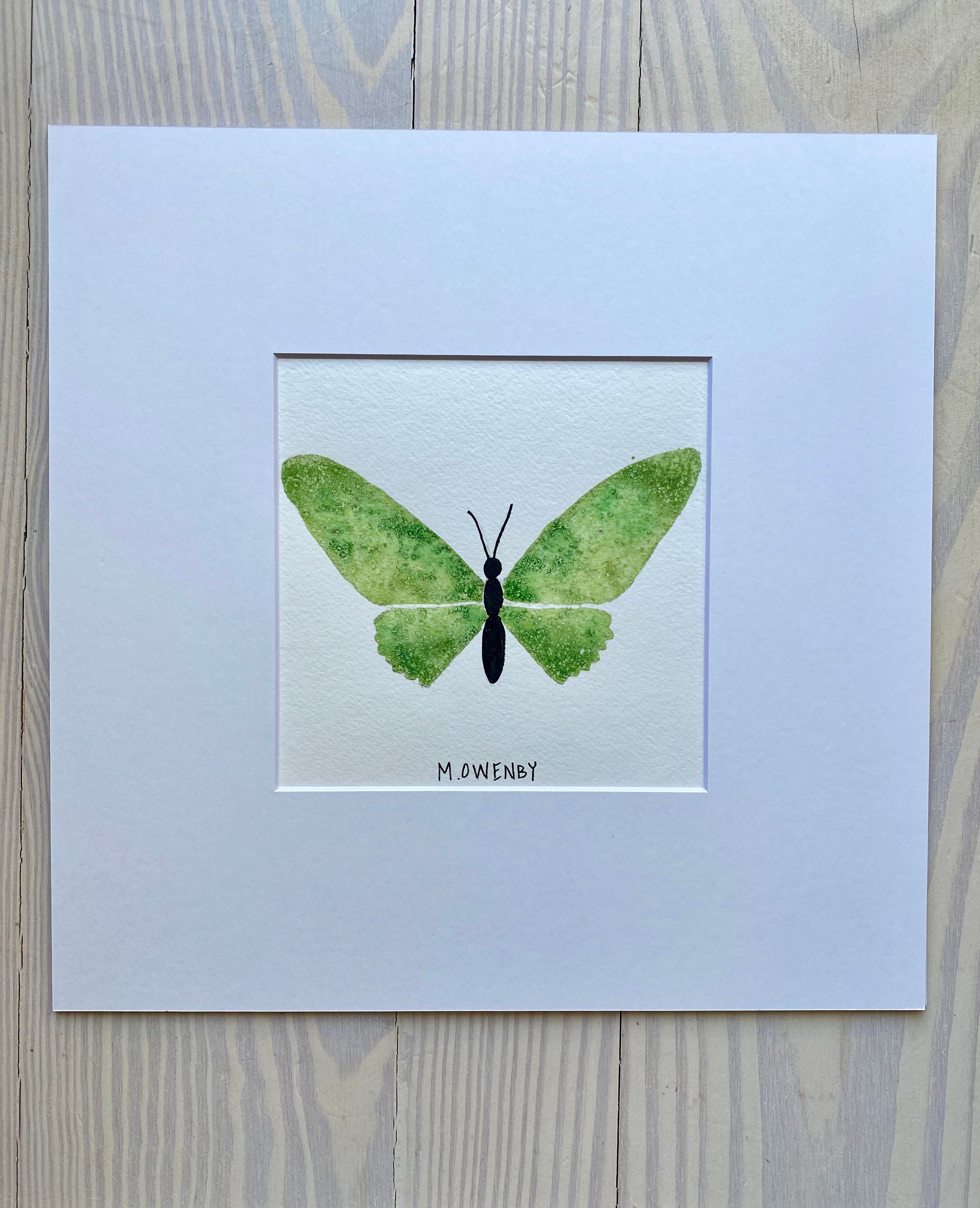 Butterfly No. 16