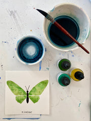 Butterfly No. 16