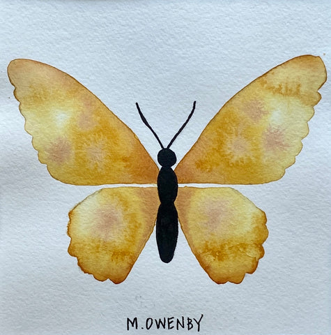 Butterfly No. 22