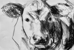 Cow in Charcoal