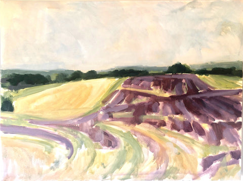 Lavender Fields