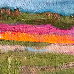 Celosia Fields