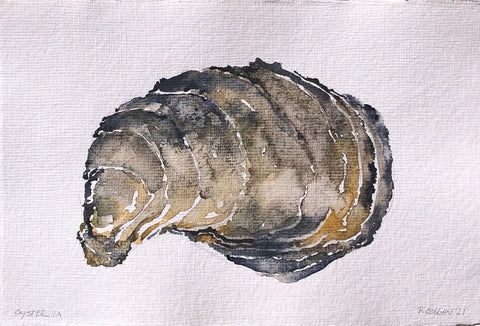 Oyster 1A