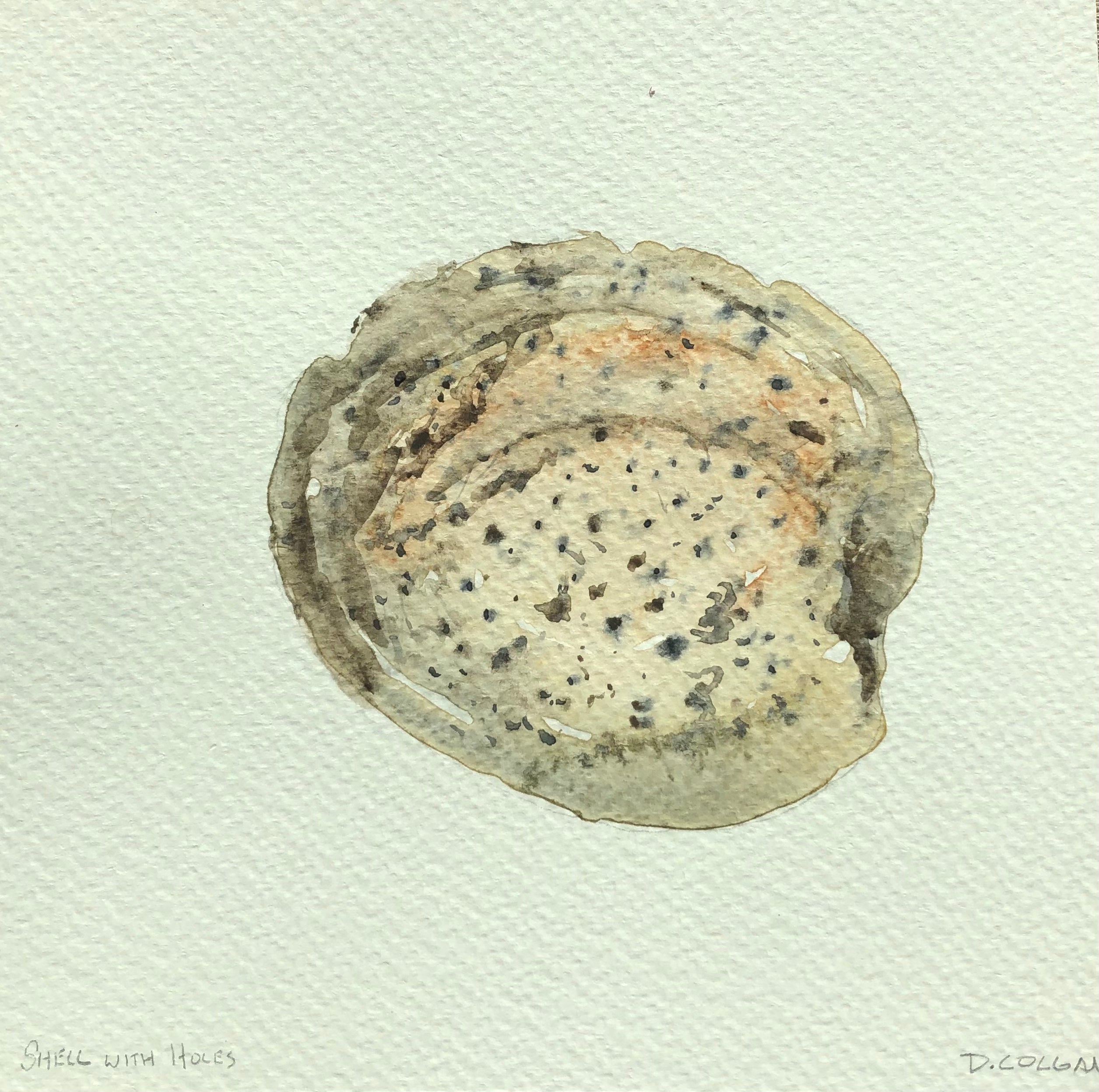 Shell with Holes (Back)