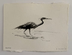 Heron