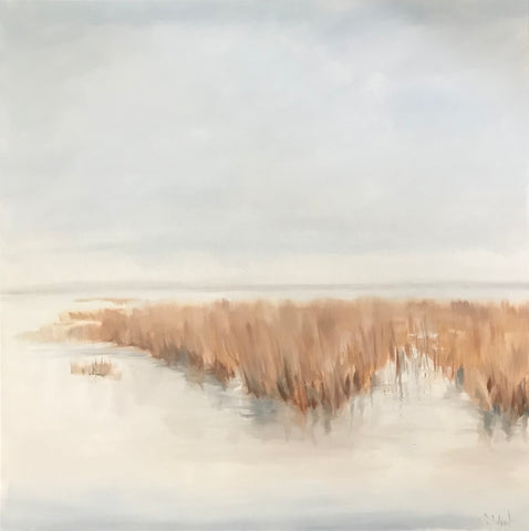 Floating in the Mist