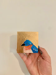 Eastern Bluebird