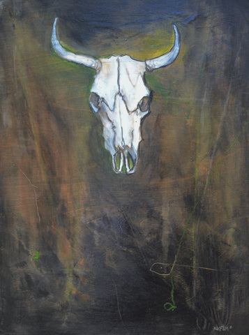 Cow Skull