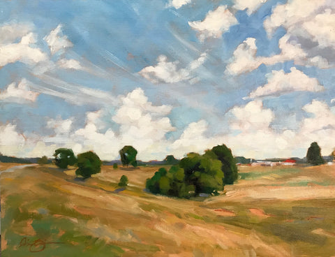 Summer Field