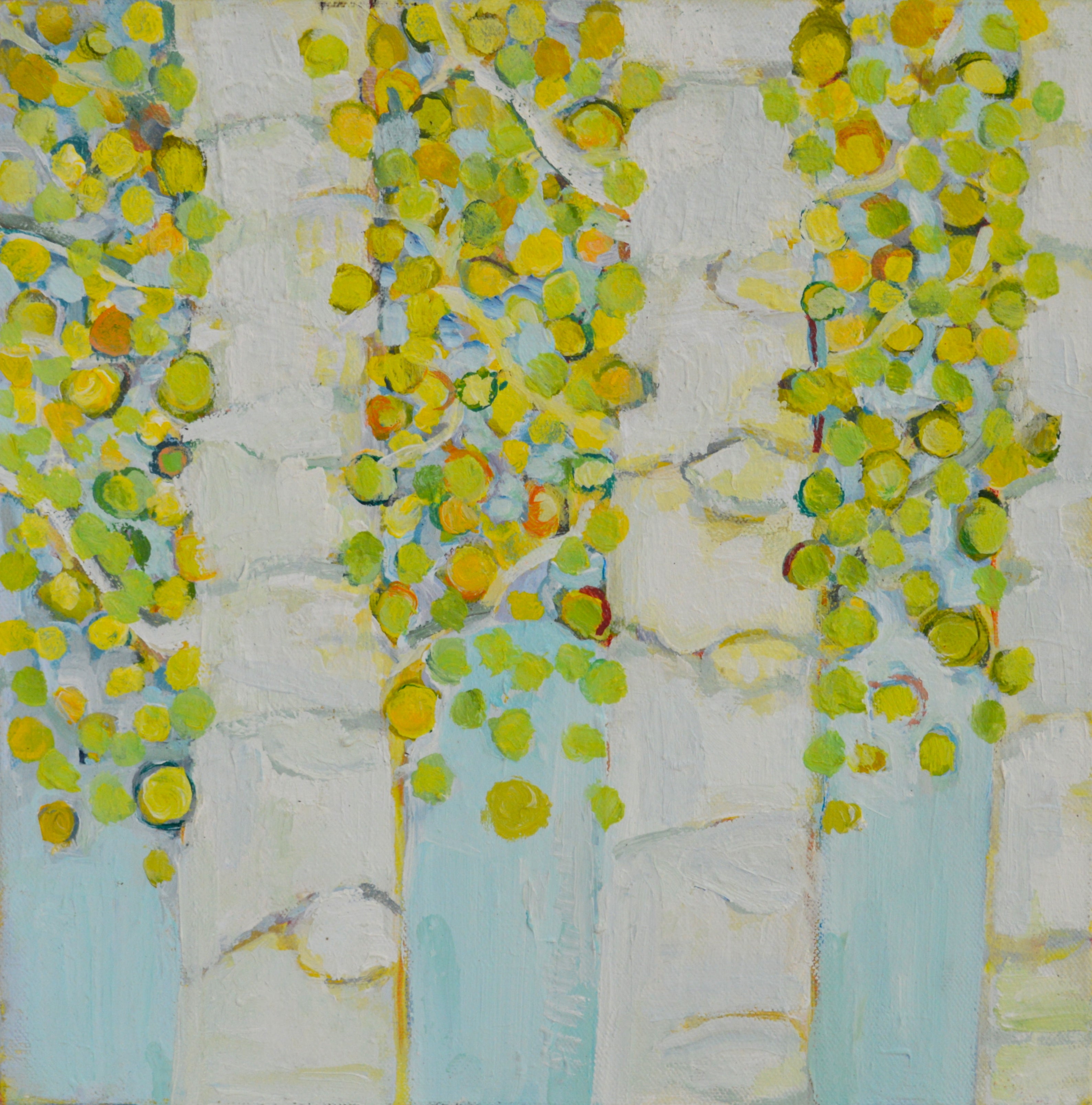 Aspen Flurry 1