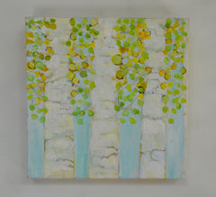 Aspen Flurry 2