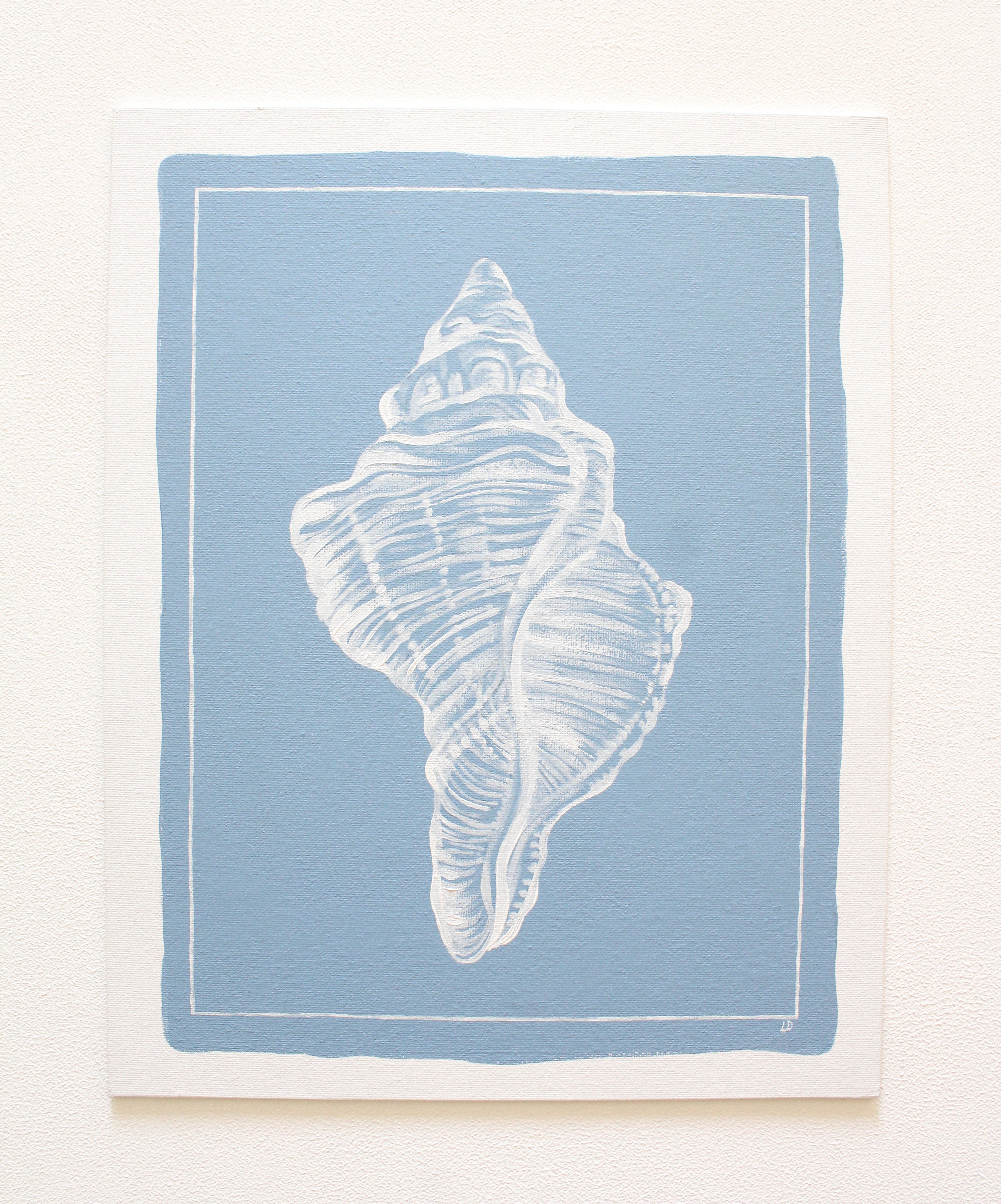 Conch Shell