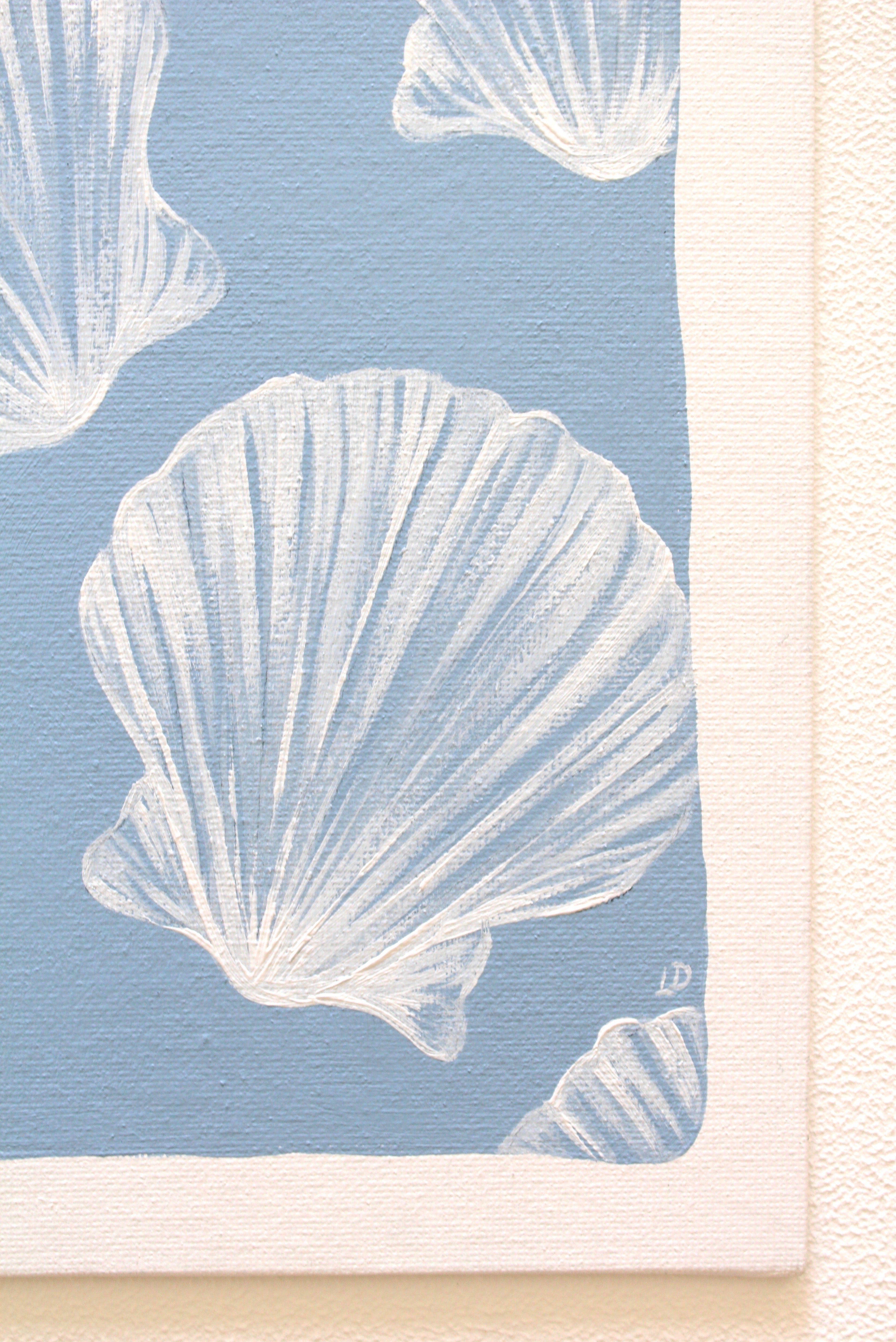 Scallop Shells