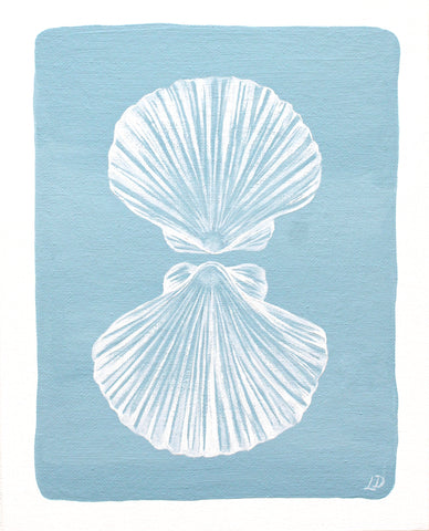 Shell Reflection