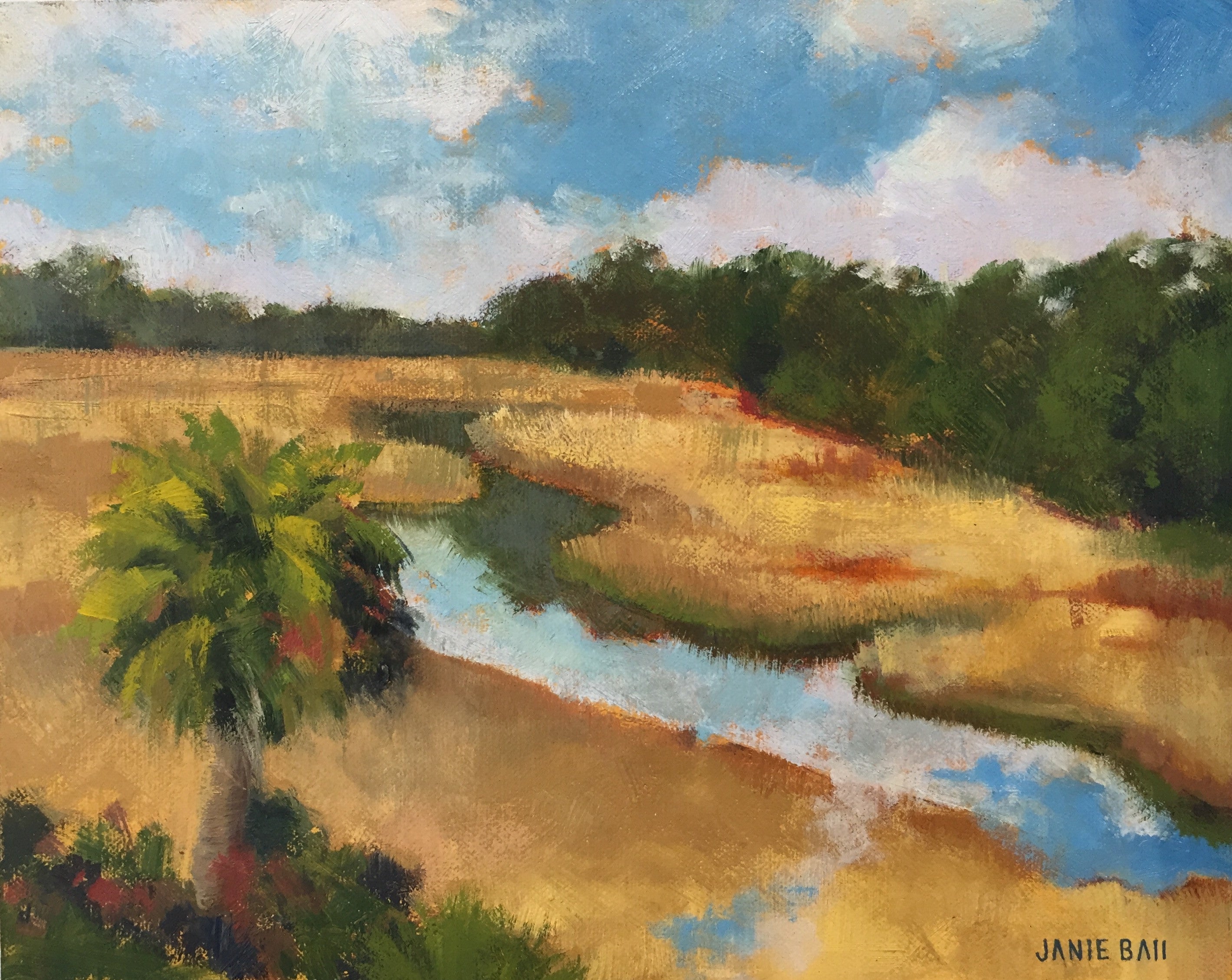 NoMo Creek