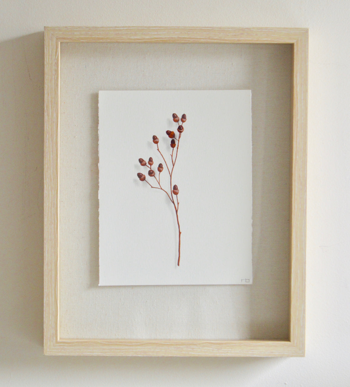 Acorn Study 4