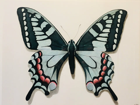 Butterfly Study 1