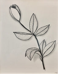 Untitled 1