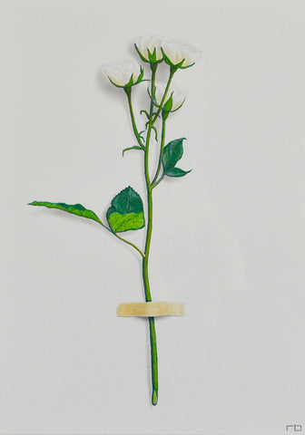 White Flower Study 2