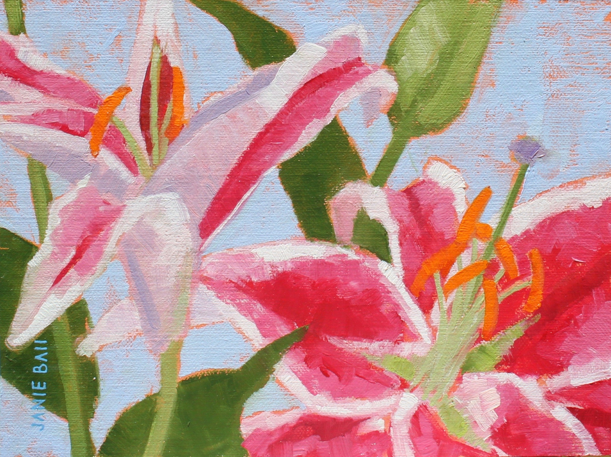 Stargazer II