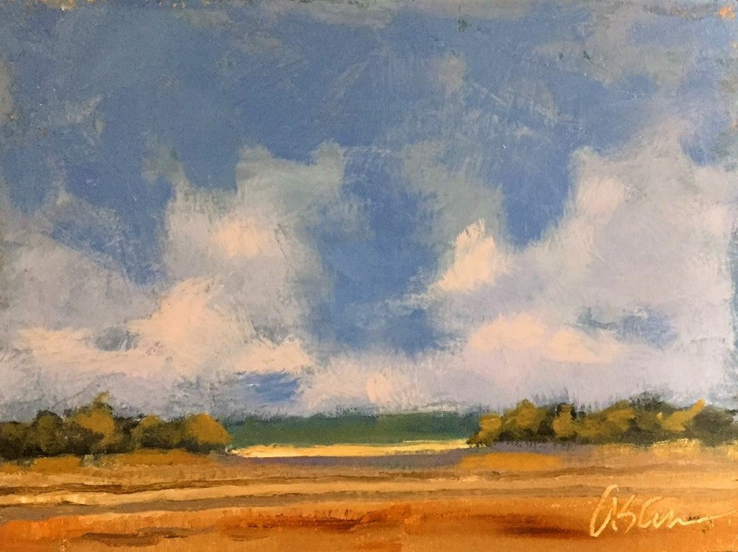Sunlit Marsh