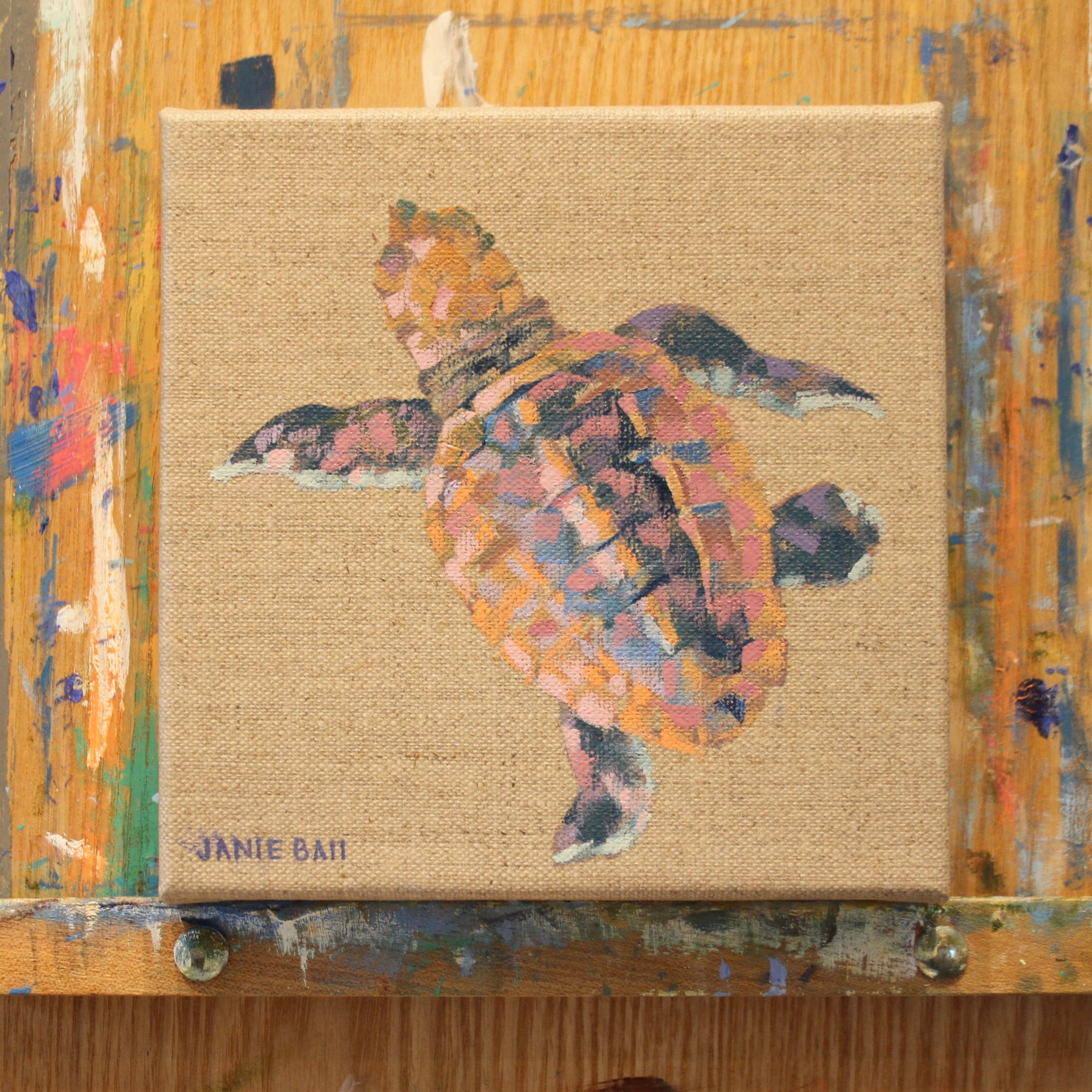 Turtle IV