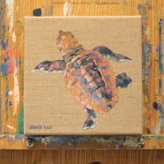 Turtle IV
