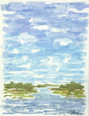 Tidal Marsh XX